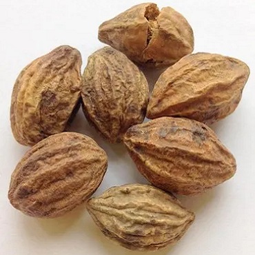 myrobalan-export-pune